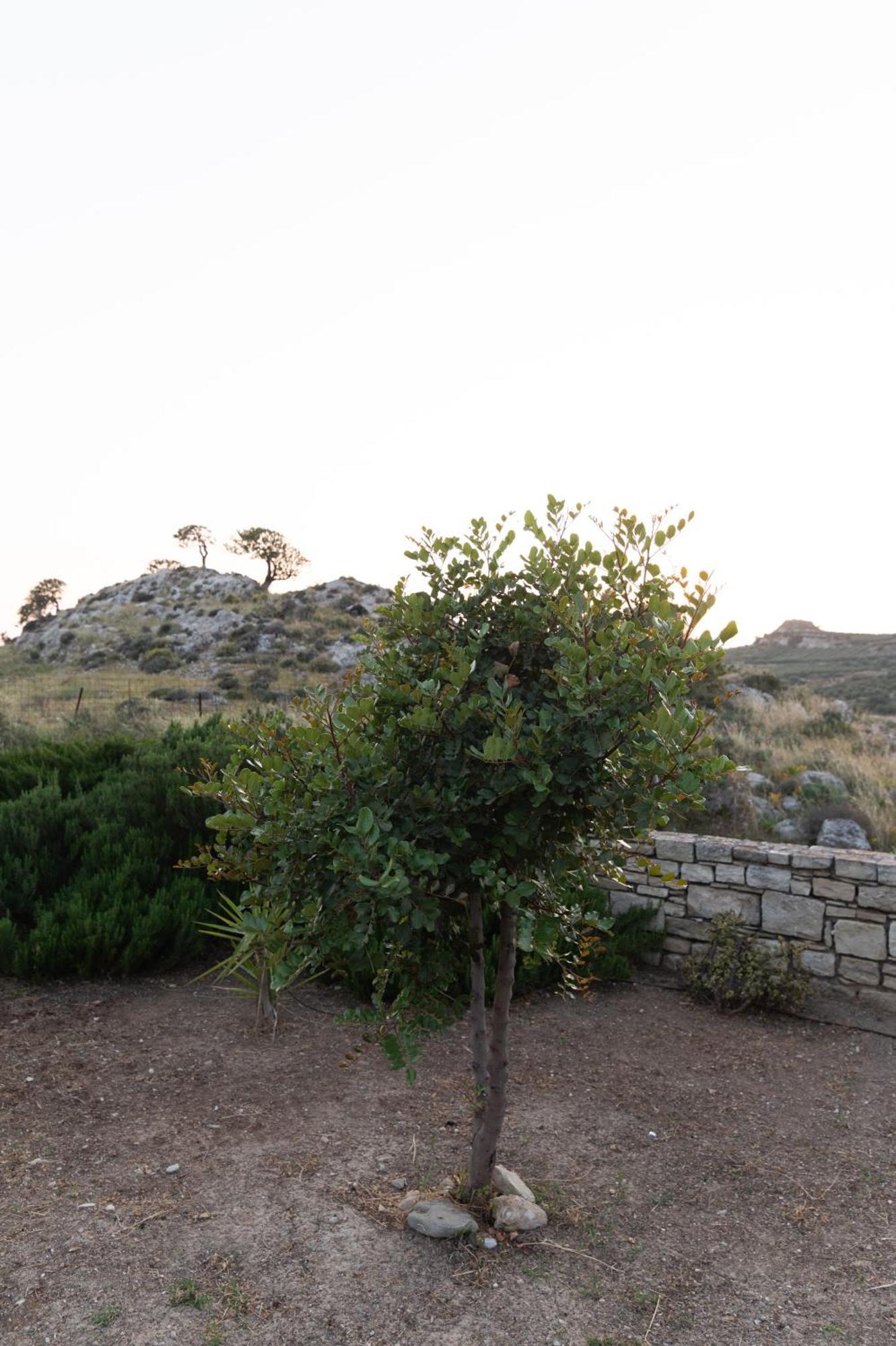 Carob Villa Moirai Bagian luar foto